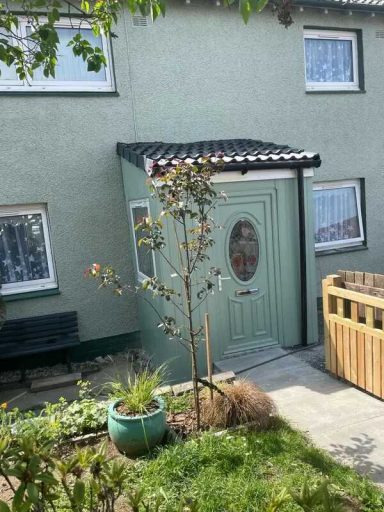 Green house exterior with a door, a small tree, and a wooden planter.